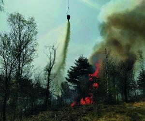 Caselette: per il Musinè nel 2022 è già il quarto incendio