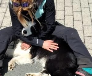 Bussoleno: Yuna torna in rifugio dopo quasi due mesi