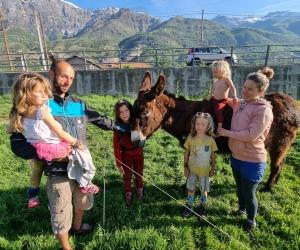 Yousef e Matilde, un carro e un'asina verso la libertà