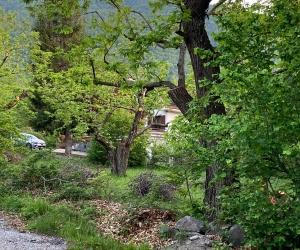Mattie in subbuglio per l'antennone di 30 metri nei castagneti