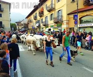 Condove: giovedì il primo atto della "transumanza di comunità"