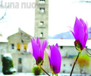 La mia foto alla Luna-Primavera: la "Neve d’aprile" è la ciliegina di Daniela