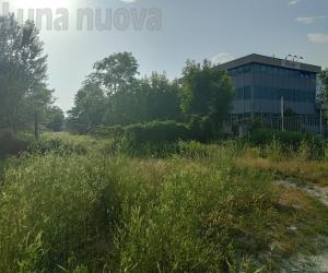 Acqua S.Michele: il primo passo per il grande ritorno a Vaie