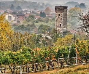 Almese si veste di "Baratuciat, Vitigno DiVino"