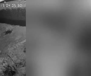 Il boato del terremoto ripreso da una telecamera privata