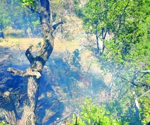 Fuoco, torna la paura alle falde del Rocciamelone