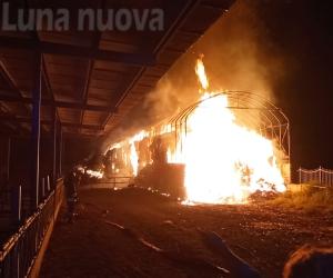 Collegno, fiamme nella notte: a fuoco un fienile a Savonera