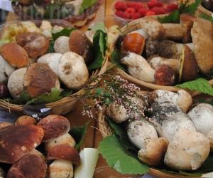 Giaveno, arriva la pioggia: "Fungo in festa" rinviata 