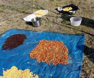 S.Didero: l’anno zero della "Sagra dei ceci"
