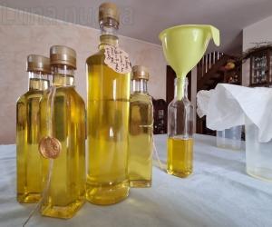 In val Cenischia anche i girasoli si trasformano in olio