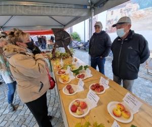 Per GustoValsusa  altre due tappe in salsa autunnale