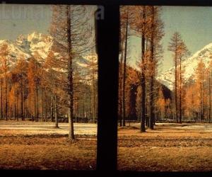 A Chiomonte le fotografie stereo di Levis e Fino 