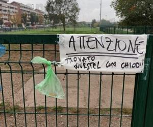 Grugliasco, bocconi killer nell'area cani: un incubo che ritorna