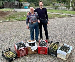Avigliana, l’olio di Nicolò: pensato per gioco, diventa tradizione