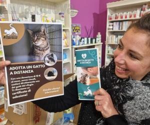 Per Natale adotta un gatto a distanza