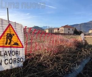 Avigliana, nel bosco urbano spuntano i dubbi
