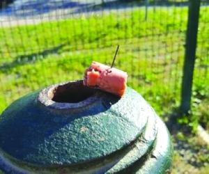 Grugliasco, l'incubo infinito dei bocconi killer 
