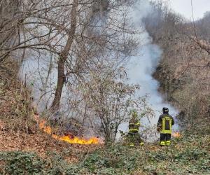 S.Antonino: incendio boschivo lungo la strada per la borgata Cresto