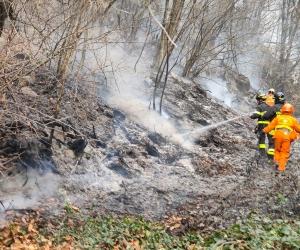 Boschi a fuoco in bassa valle di Susa, ancora una volta