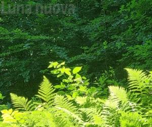 "La mia foto alla Luna": è tempo di verde
