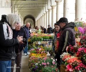 Collegno: Certosa invasa da fiori, profumi e folla