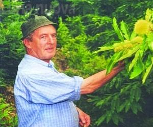 Villar Focchiardo: addio Rumanin, l'uomo dei boschi