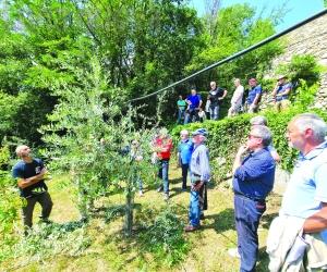 A Borgone è "Sagra dell’Olio": week-end di festa tra musica e cibo