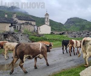 Giugno, si muove l'esercito degli alpeggi
