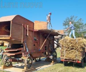 S.Giorio: il grano, come settant'anni fa