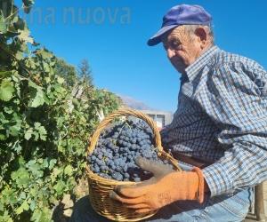 Ramats, l'ultima enclave dell'avanà "amatoriale"