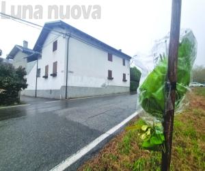 Mattie, muore due mesi dopo l'incidente in Vespa