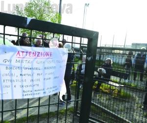 Grugliasco trova alleati contro il nemico dei cani