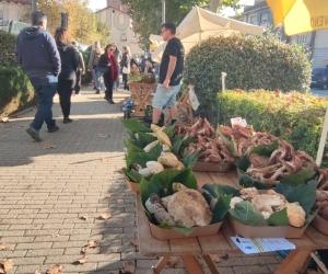 Giaveno, è la domenica di Fungo in Festa 