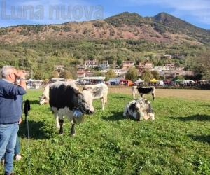 Almese, la Fiera agricola di Milanere spopola