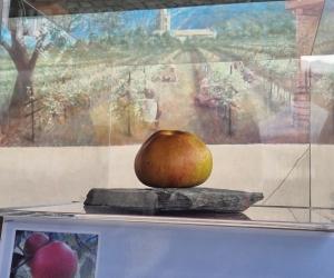 Ecco la "prima Mela" di Venaus