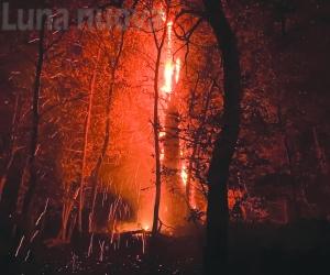 "La mia foto alla Luna-Arancione": il bis di Daniele Tonda è una fiamma nella notte 