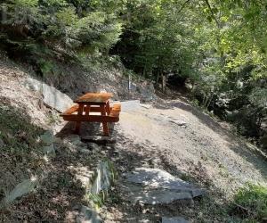Coazze, il Bosco Ugo Campagna in sicurezza 