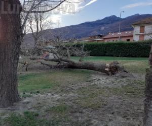 Vento, l'eredità salata di dicembre a Bussoleno