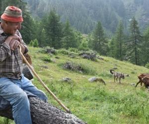 Giampiero Arnaud: 50 anni da margaro a Mattie