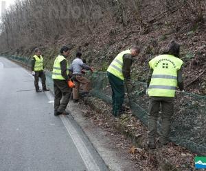 Avigliana, le reti salva rospi in via Grignetto