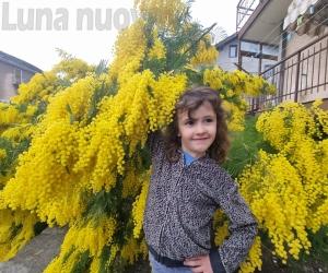 Susa, una sponda della Dora tutta in giallo
