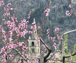 "La mia foto alla Luna": la primavera che si tinge di rosa