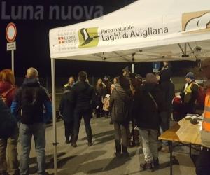 Avigliana, il "safari" notturno tra rospi e rane