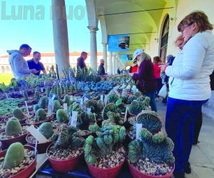 Collegno, "Follia in Fiore" colora e profuma la Certosa