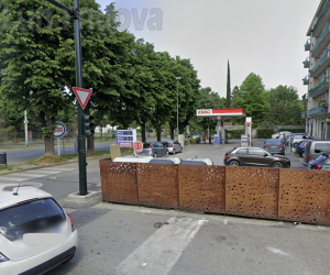 Rivoli, minacce al cane per rapinare la padrona