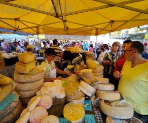 "Fieramente", di sagra in sagra: tutti gli eventi enogastronomici del 2024