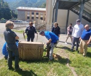 Susa: capriolo intrappolato nella scuola