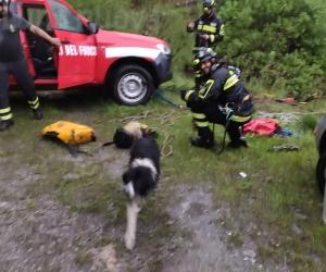 Novalesa: volo di 50 metri, cane salvato dai vigili del fuoco