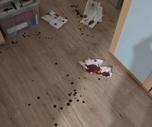Susa, la scia di sangue del ladro maldestro