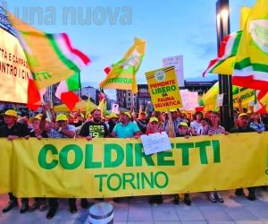 «Basta cinghiali»: la disperazione Coldiretti